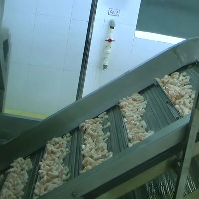 Good price Automatic Fish Processing Plant Equipment 1000kg-1500kg Multi Function online