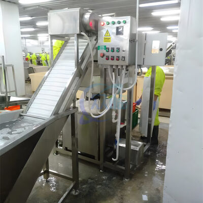 Good price Roller Shrimp Processing Equipment SS304 Shrimp Sorting Machine online