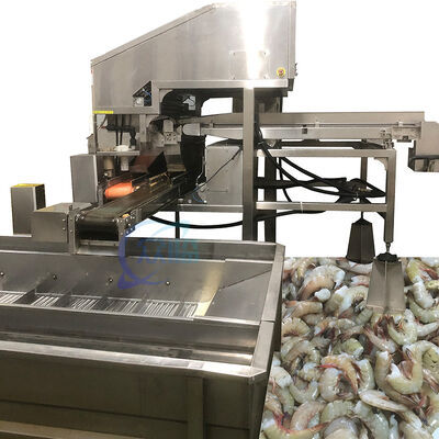 Good price SS304 Shrimp Deheading Machine Automatic Shrimp Sorting Machine online