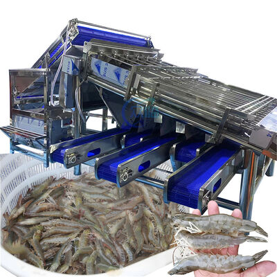 Good price Fresh Prawn Washing Rolling Sorting Machine 1200KG Shrimp Grader Machine online