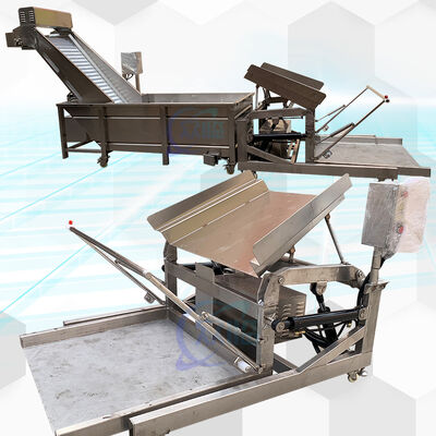 Good price 380v 50Hz Seafood Processing Plant Cooler Equipment For Fish Processing online
