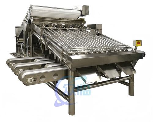 Good price Customizable Prawn Grader Automatic Shrimp Processing Equipment online