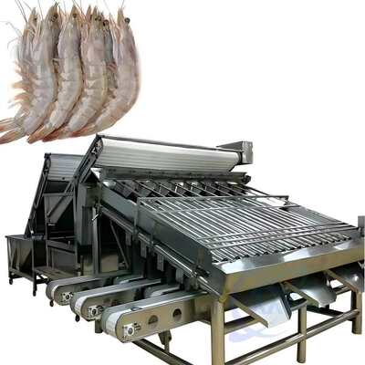 Good price Zolim Shrimp Processing Equipment Seafood Roller Sorting Machine online